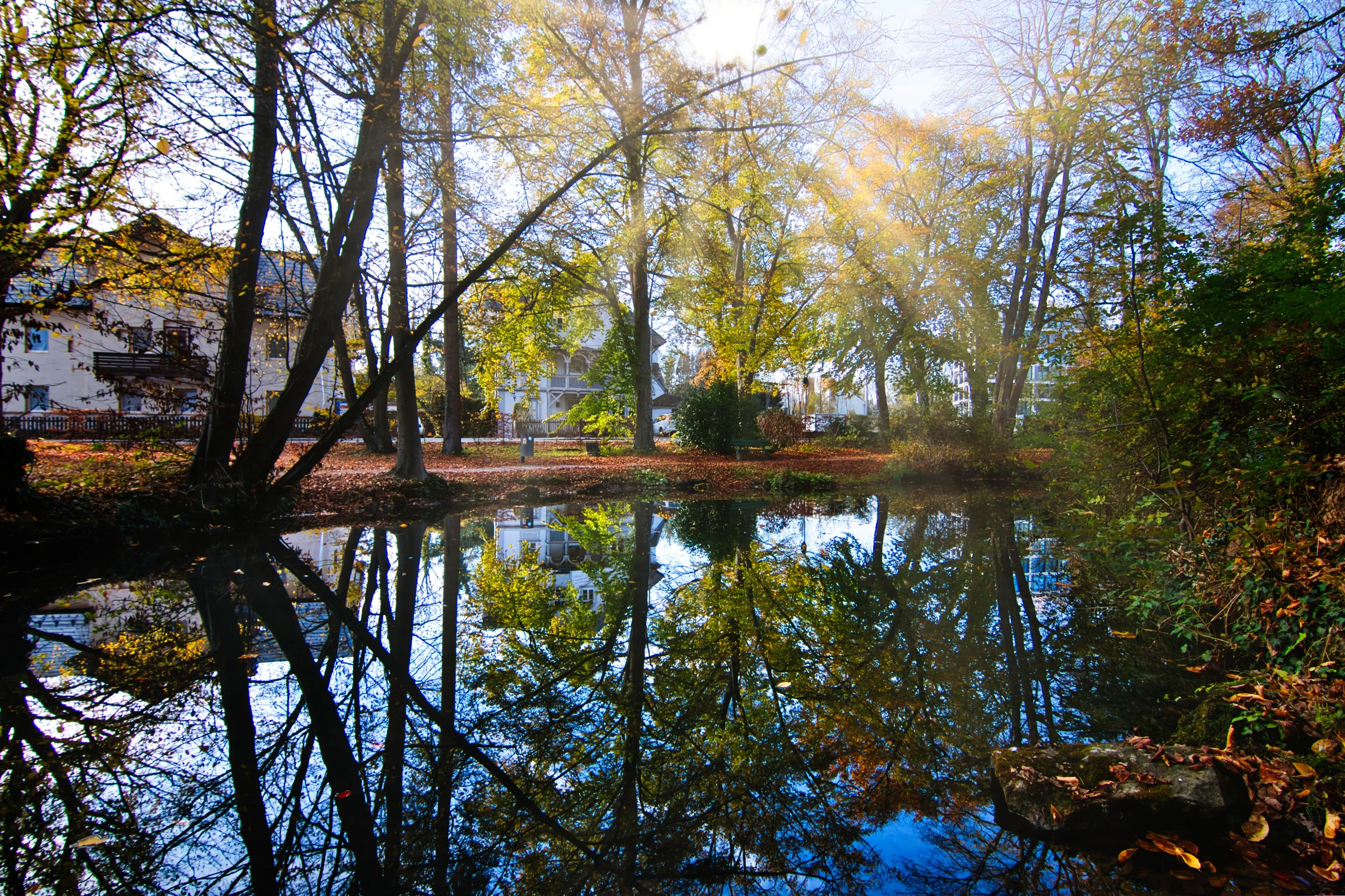 Herbstlich gefärbte Bäume spiegeln sich im stillen Wasser am Lech